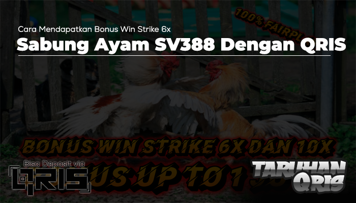 Cara Mendapatkan Bonus Win Strike 6x Sabung Ayam SV388 Dengan QRIS