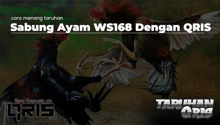 Cara Menang Taruhan Sabung Ayam WS168 Dengan QRIS