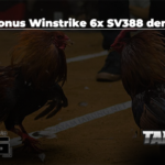 Dapat Bonus Winstrike 6x SV388 dengan QRIS, Apakah Benar?