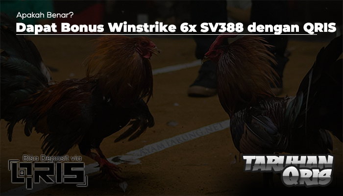 Dapat Bonus Winstrike 6x SV388 dengan QRIS, Apakah Benar?